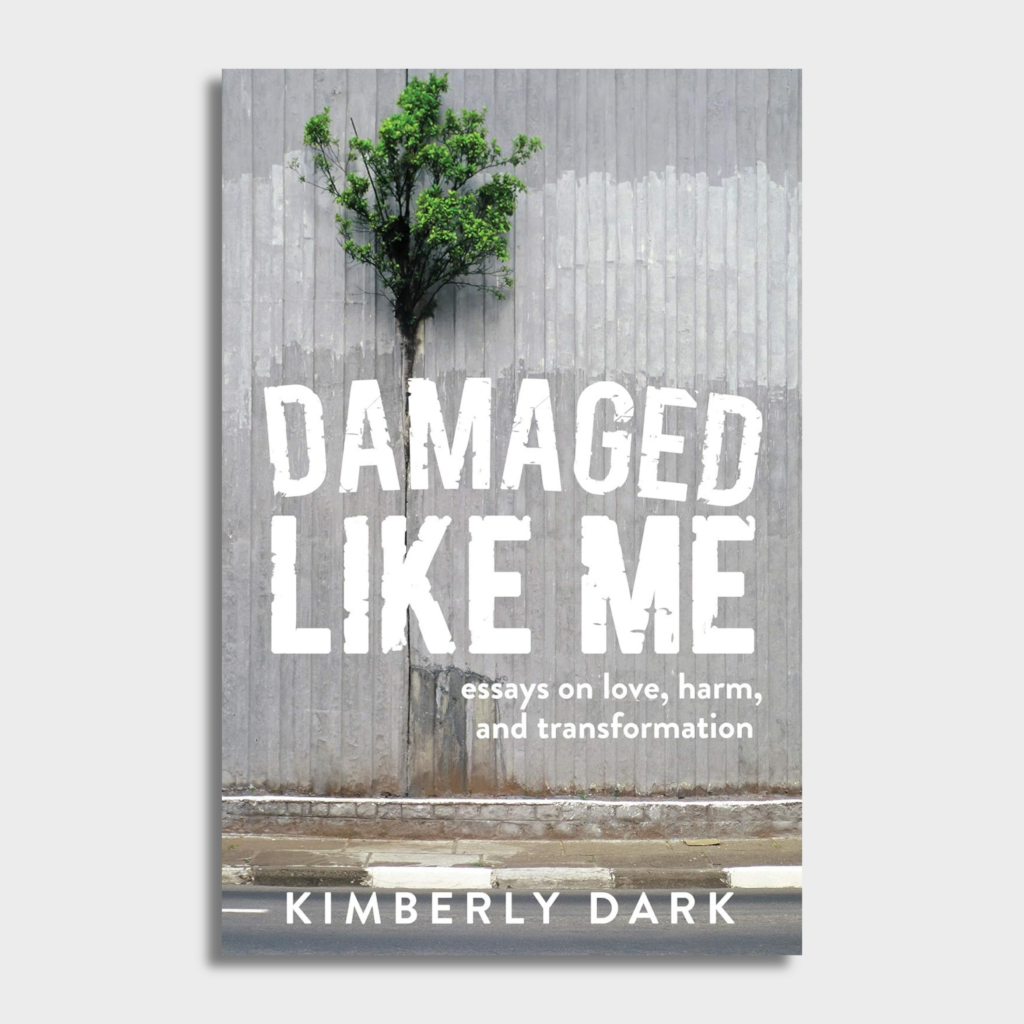 Damaged Like Me: Essays on Love, Harm, and Transformation