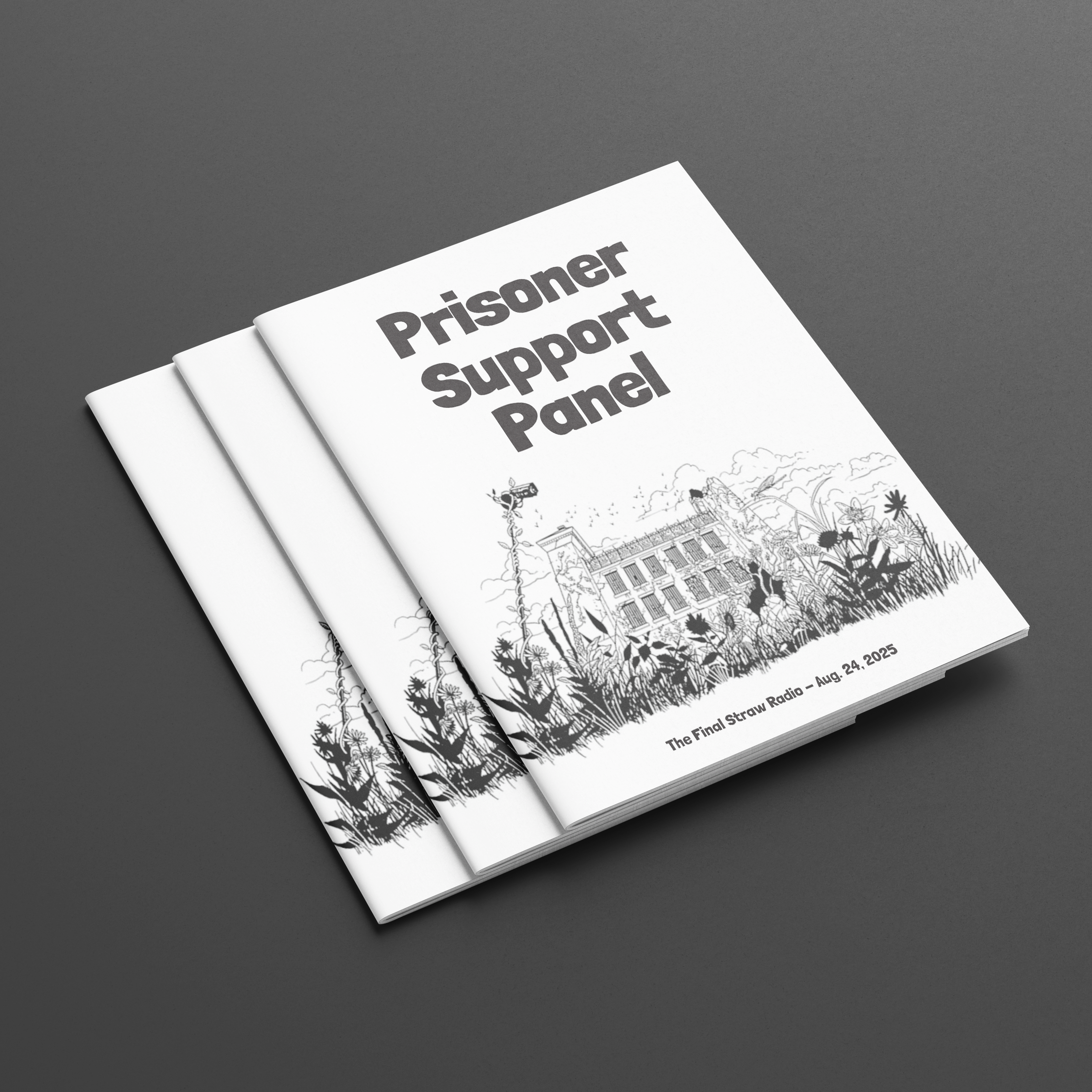 Brochure “Prisoner Support Panel"
